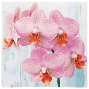 PAPSTAR Serviette à motif "Phalaenopsis", 330 x 330 mm