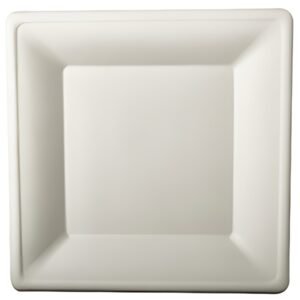 PAPSTAR Assiette en canne à sucre "pure", carré, 260x260 mm