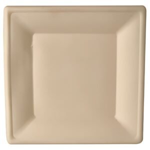 Assiettes PAPSTAR en canne à sucre "pure", carrées, 155 x 155 mm, 50 pièces
