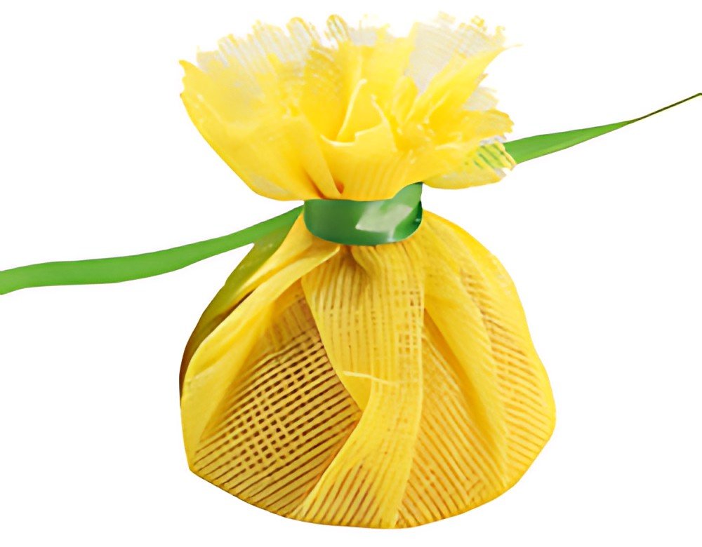 HYGOSTAR Lemon wrap, avec cravate verte, jaune