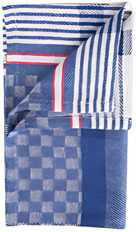 HYGOSTAR Torchon à vaisselle, quadrillé en bleu-blanc