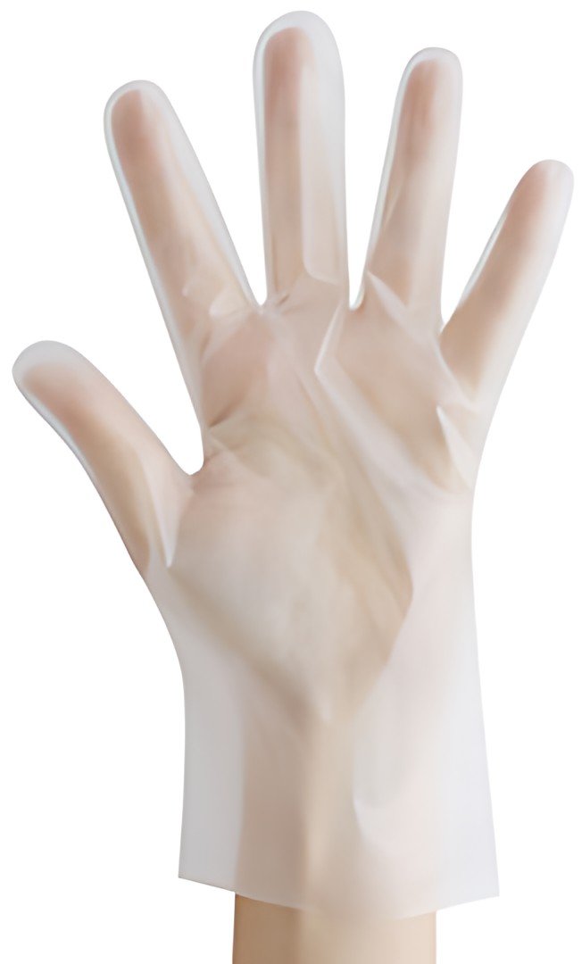 HYGOSTAR Gant TPE ALLFOOD THERMOSOFT, M, transparent