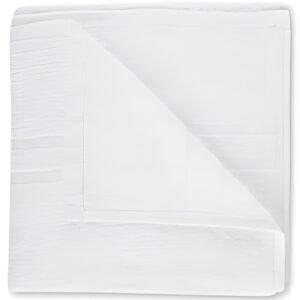 HYGOSTAR Serviette de toilette Eco, 500 x 1.000 mm, blanc