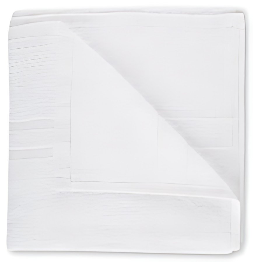 HYGOSTAR Serviette de toilette Eco, 500 x 1.000 mm, blanc