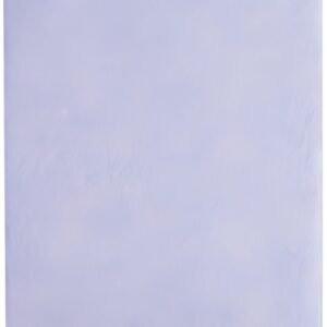HYGOCLEAN Chiffon multi-usage Tetra Light, bleu