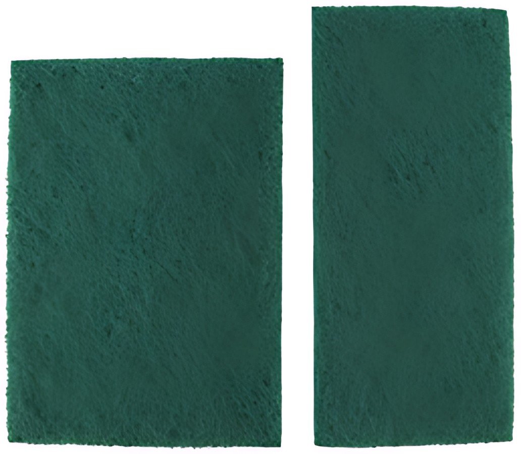 HYGOCLEAN Pad non tissé, non-tissé dur, 220 x 160 mm, vert