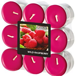 FLAVOUR by Gala Bougie chauffe-plat "Raspberry"