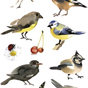 HERMA Sticker DECOR "Oiseaux à l'aquarelle"
