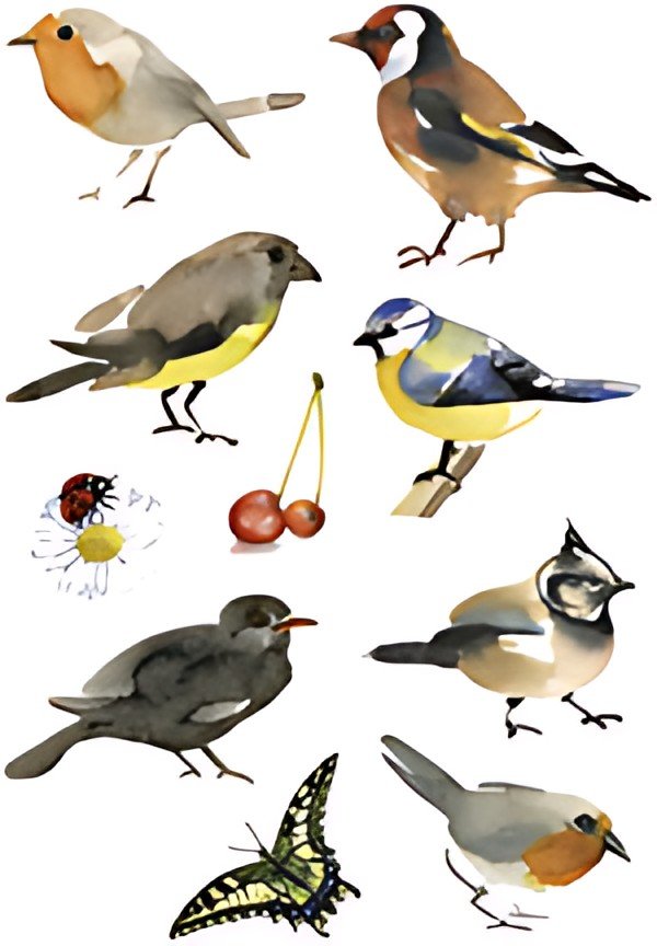 HERMA Sticker DECOR "Oiseaux à l'aquarelle"