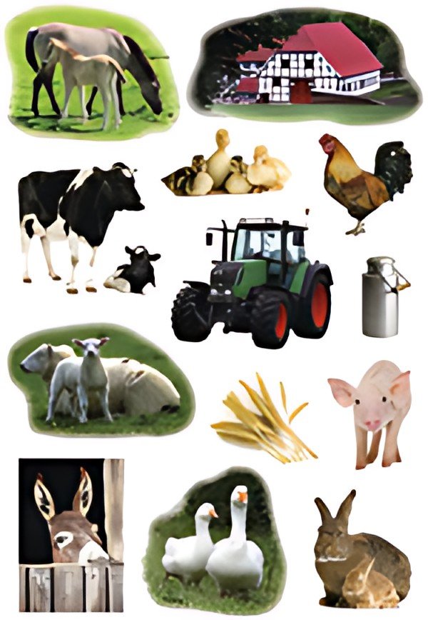 HERMA Autocollants DECOR "Photo d'animaux de ferme"