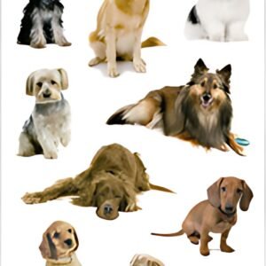 HERMA Autocollants DECOR "Photos de chiens"