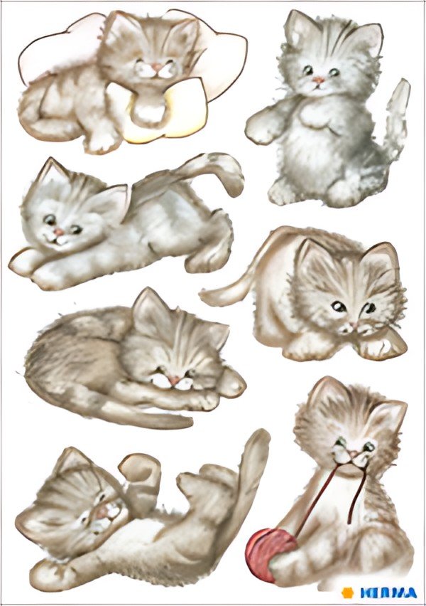 HERMA Autocollants DECOR "Drôle de chaton"