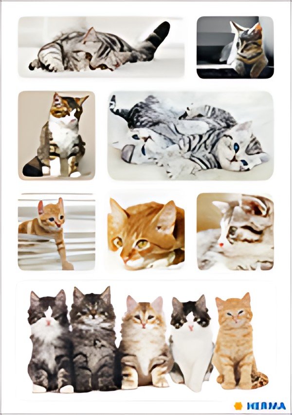 HERMA Autocollants DECOR "Chatons"
