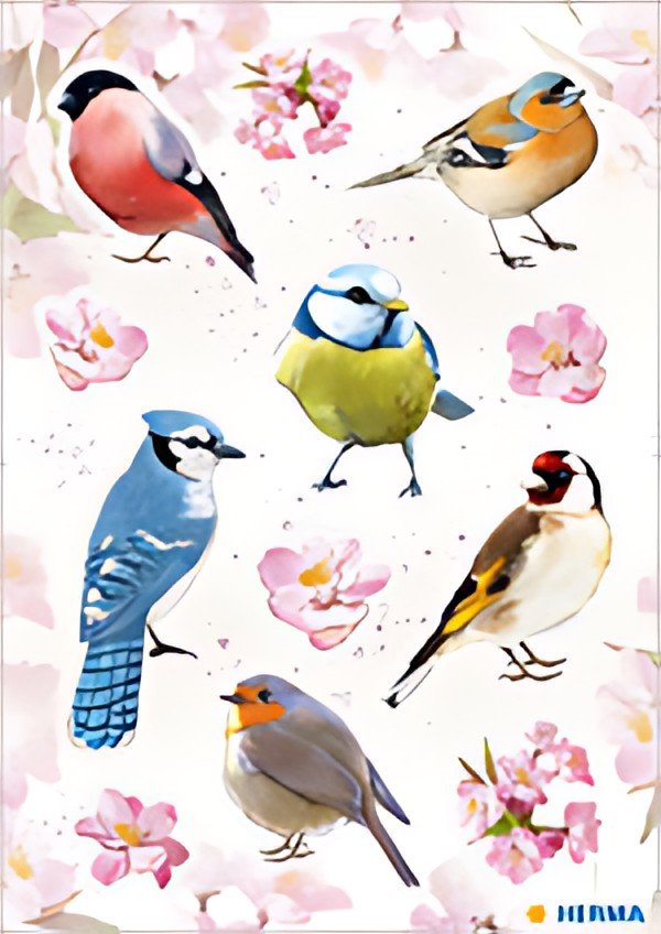 HERMA Sticker DECOR "Oiseaux de chez nous"