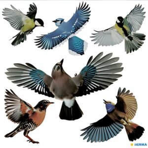 HERMA Etiquette de signalisation "oiseaux", multicolore