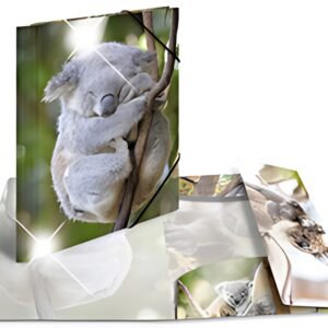 HERMA Chemise à élastiques "koala", PP Glossy, A4