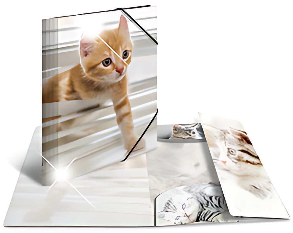 HERMA Chemise à élastiques "chats", PP Glossy, A4