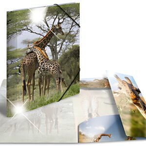 HERMA Chemise à élastiques "girafe", PP Glossy, A3