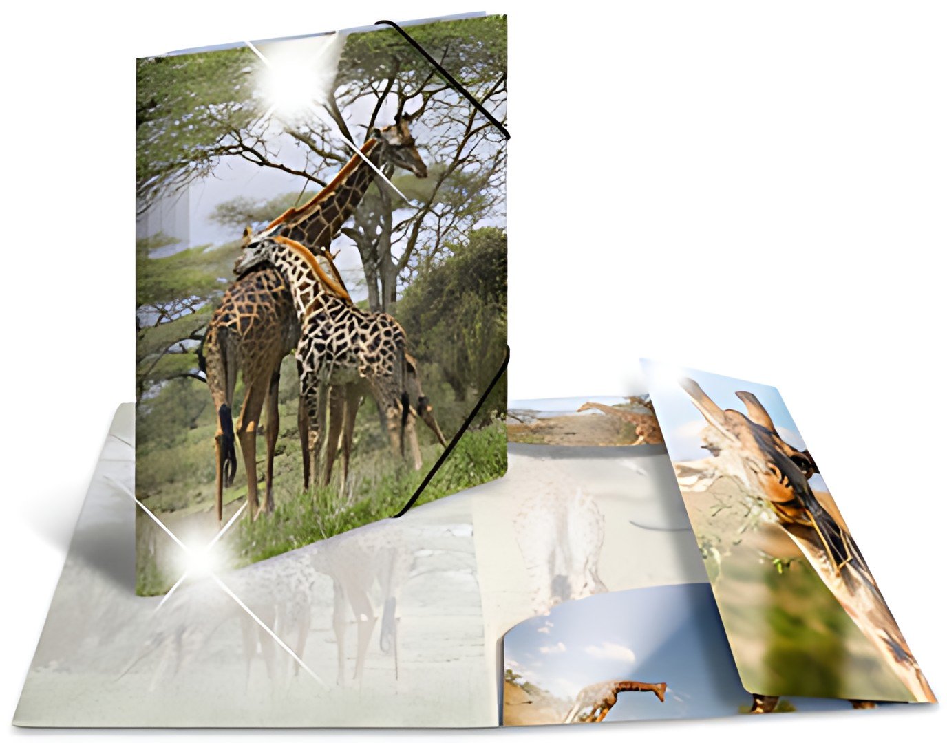 HERMA Chemise à élastiques "girafe", PP Glossy, A3