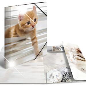 HERMA Chemise à élastiques "chats", PP Glossy, A3