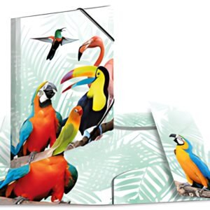 HERMA Chemise à élastiques Animaux exotiques, A4, oiseaux