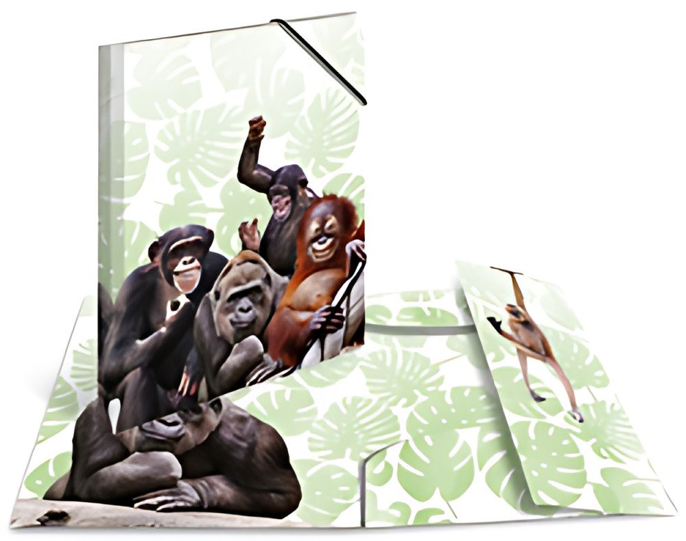 HERMA Chemise à élastiques Animaux exotiques, A4, singes