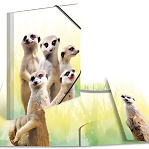 HERMA Chemise à élastiques Animaux exotiques, A4, suricates
