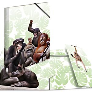 HERMA Chemise à élastiques Animaux exotiques, A3, singes