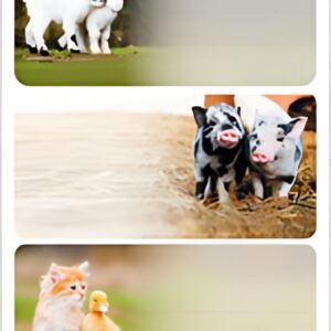 HERMA Étiquette pour livre "Animaux de la ferme"