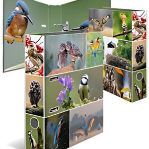 HERMA Classeur à levier "Monde animal", Oiseaux