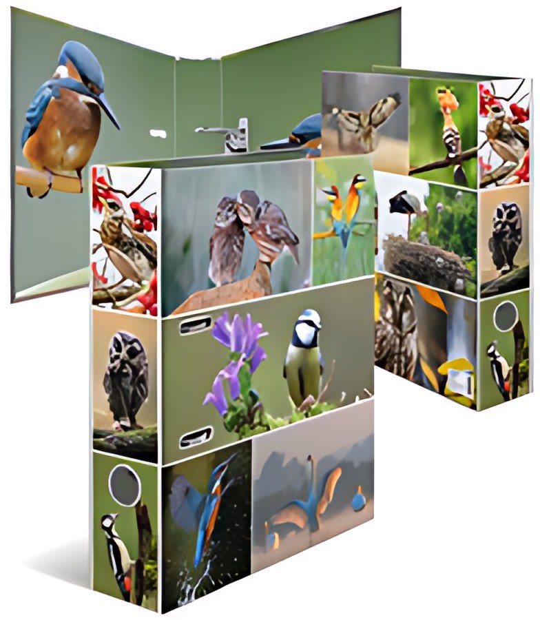 HERMA Classeur à levier "Monde animal", Oiseaux