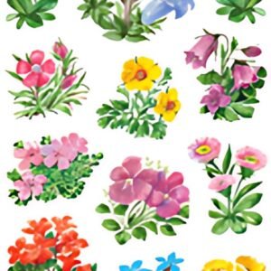 HERMA Autocollants DECOR "Fleurs de montagne"