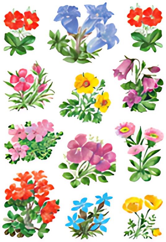 HERMA Autocollants DECOR "Fleurs de montagne"