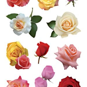 HERMA Sticker DECOR "Boutons de rose multicolores"