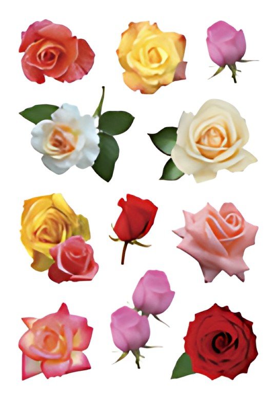 HERMA Sticker DECOR "Boutons de rose multicolores"