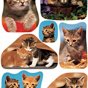 HERMA Autocollants DECOR "Photos de chats"
