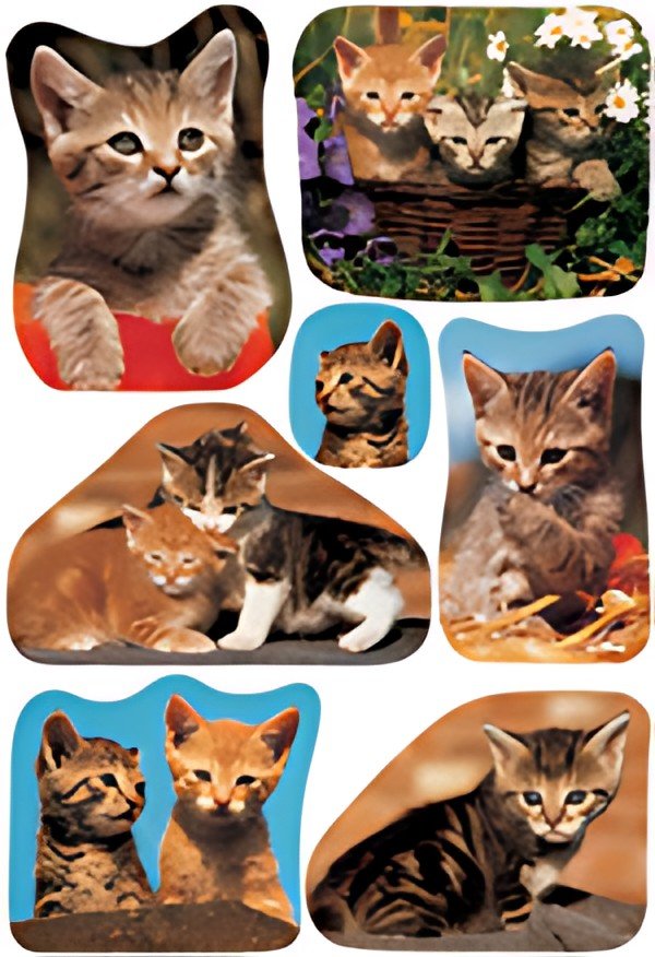HERMA Autocollants DECOR "Photos de chats"