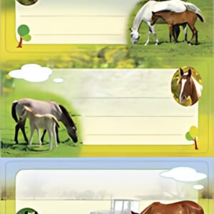 HERMA Étiquette pour livre "Chevaux", 76 x 35 mm