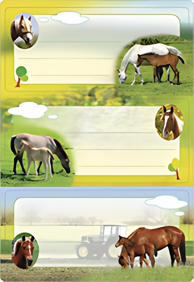 HERMA Étiquette pour livre "Chevaux", 76 x 35 mm