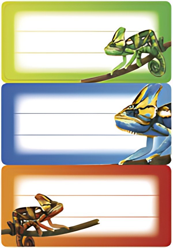 HERMA Étiquettes pour livres VARIO "Caméléons", 76 x 35 mm