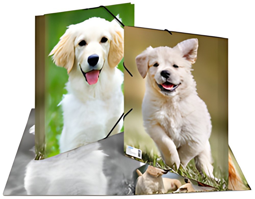 HERMA Chemise élastique "chiens", transparent, en PP, A4,