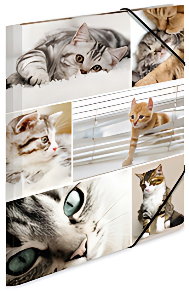 HERMA Chemise à élastiques "chats", en carton,