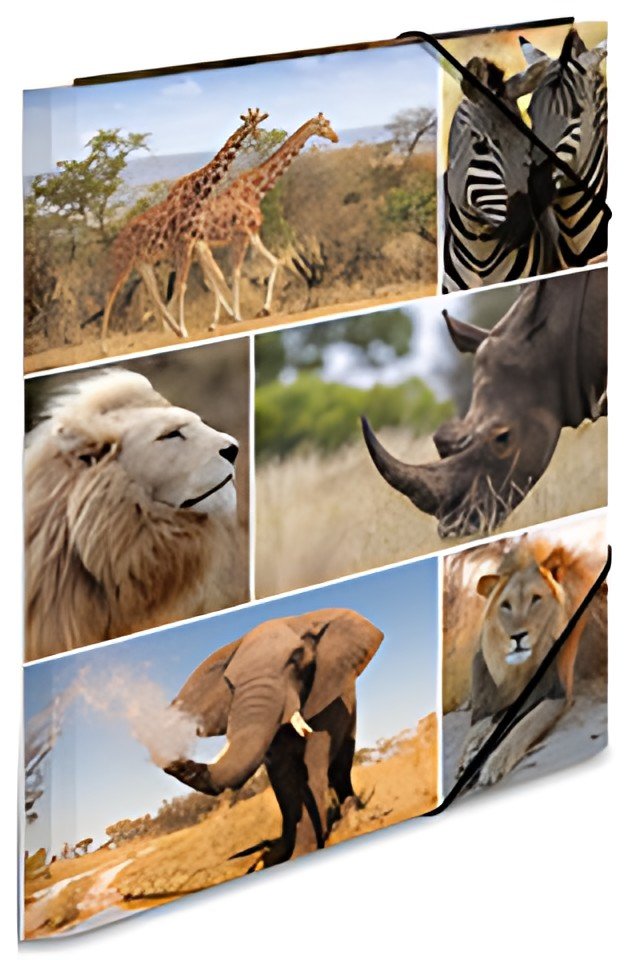 HERMA Chemise à élastiques "animaux d'afrique", en carton,