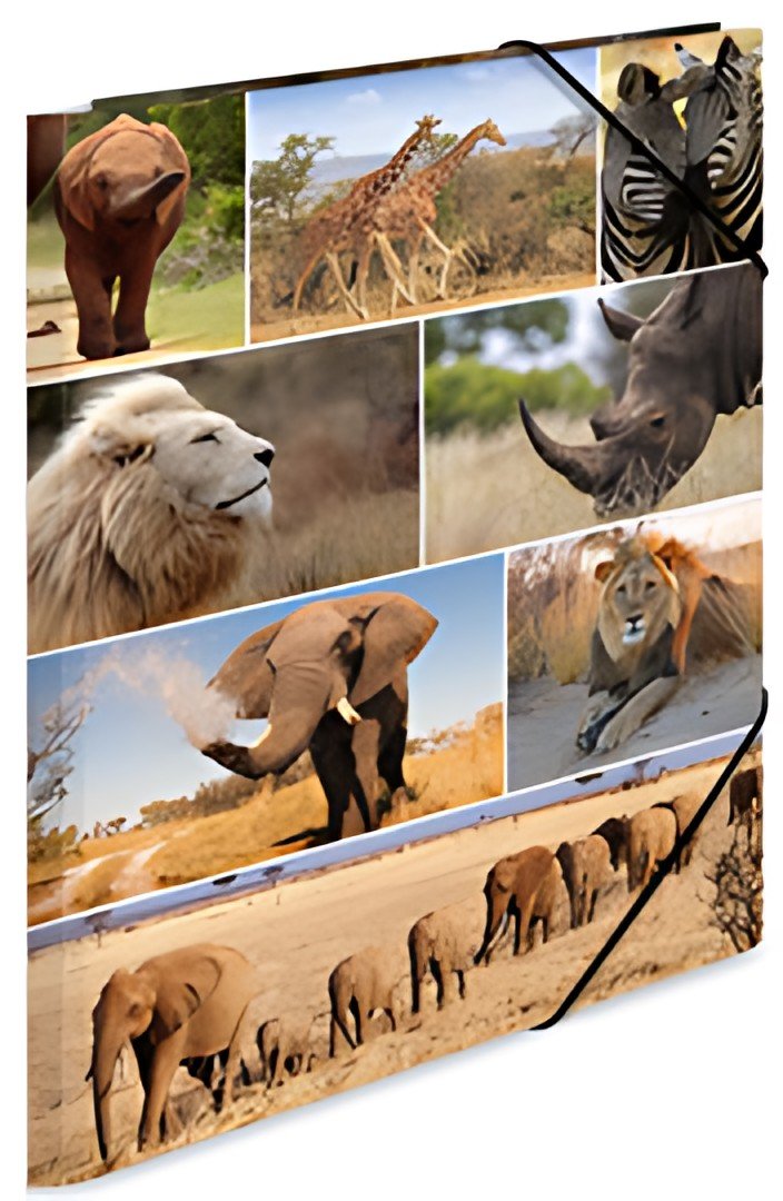 HERMA Chemise à élastiques "animaux d'Afrique", carton, A3