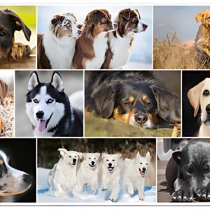 HERMA Sous-main "Chiens", (L)550 x (H)350 mm