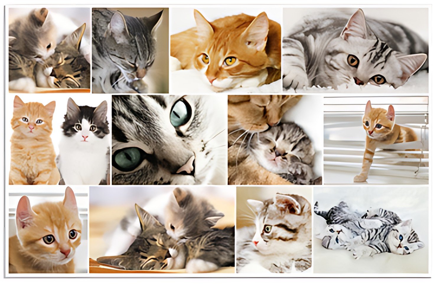 HERMA Sous-main "Chats", (L)550 x (H)350 mm