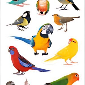 HERMA Sticker DECOR "Oiseaux", en papier