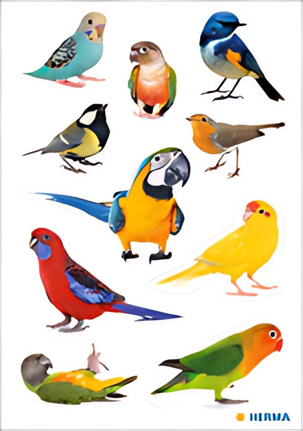 HERMA Sticker DECOR "Oiseaux", en papier