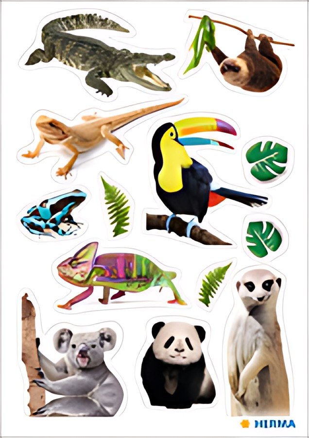 HERMA Sticker DECOR "Animaux exotiques", en papier