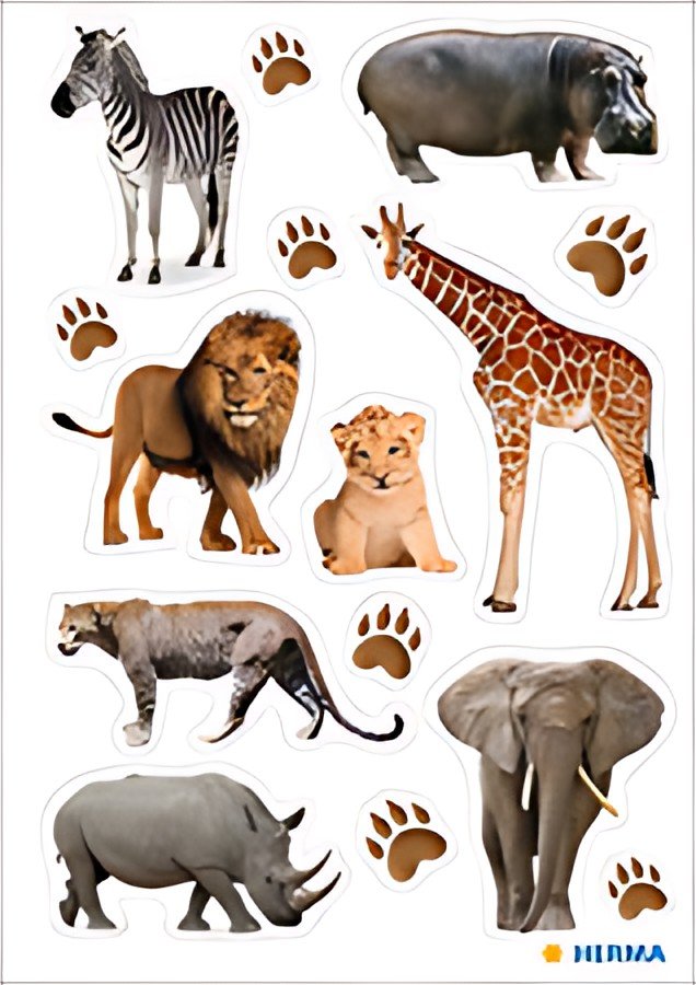 HERMA Sticker DECOR "Animaux d'Afrique", en papier